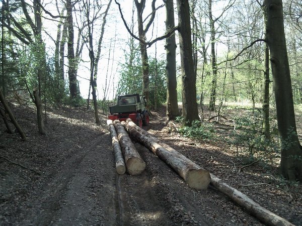 805_holzacker.jpg