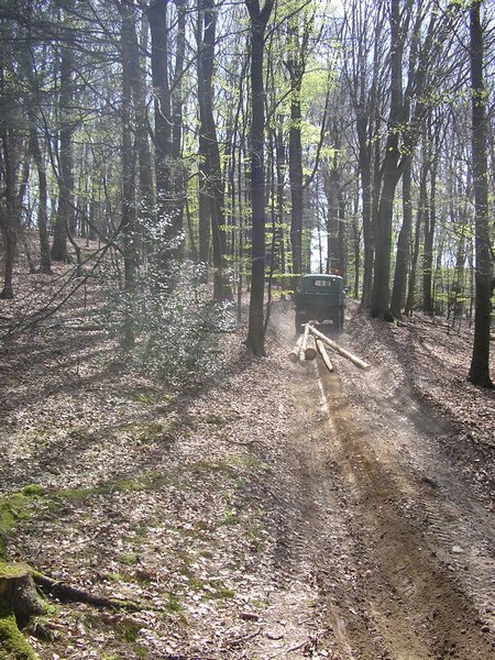 807_holzacker.jpg